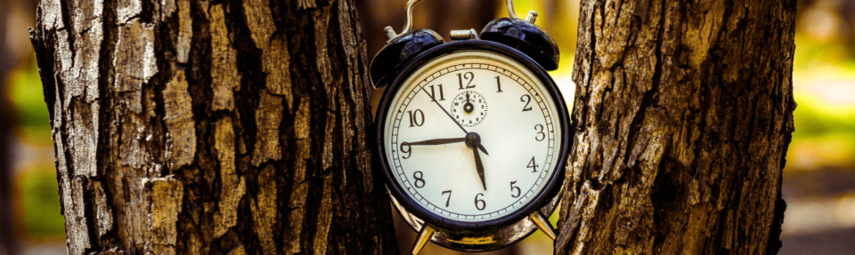 Как да предоставите най-добрата поддръжка на клиентите в реално време през 2025 г.