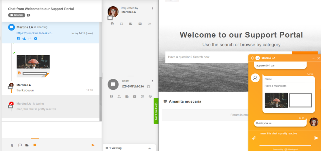 LiveAgent - преглед на писане в реално време