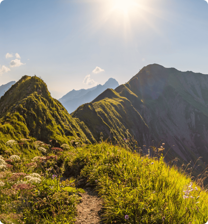 Как ZlavaDna подобри клиентското обслужване с LiveAgent