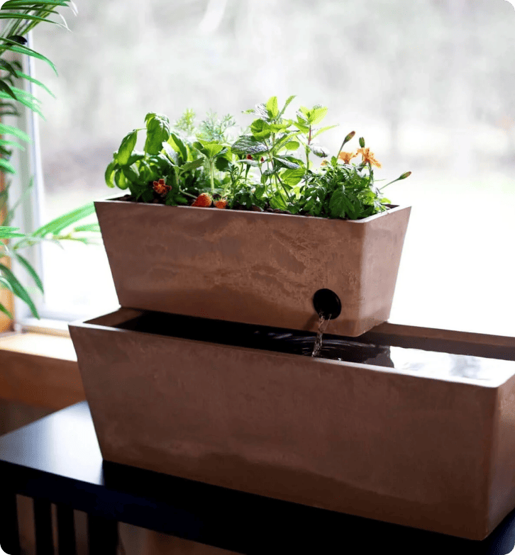 Как AquaSprouts постига 96,5% процент на задоволство на клиентите с LiveAgent